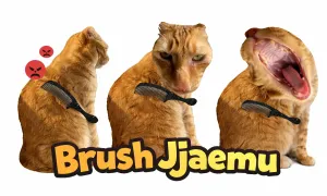 Play Brush Jjaemu now!
