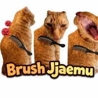 brush-jjaemu