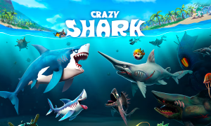 Play Crazy Shark now!