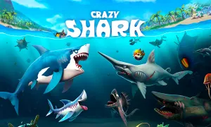 crazy-shark