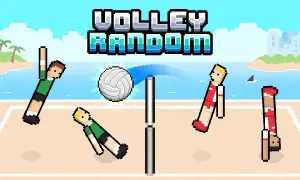 Play Volley Random now!